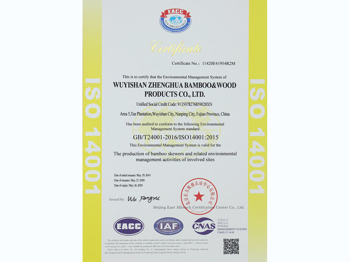 ISO 14001 En