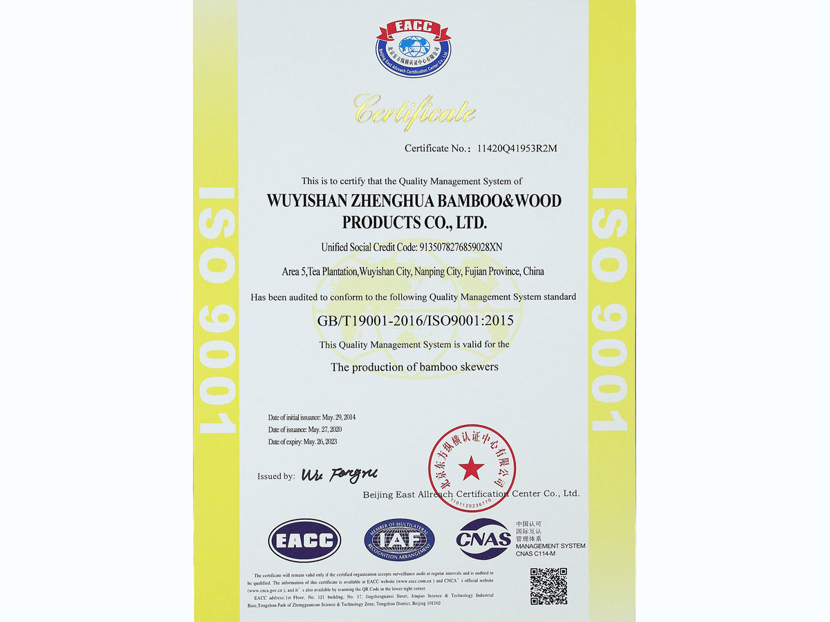 ISO 9001 En