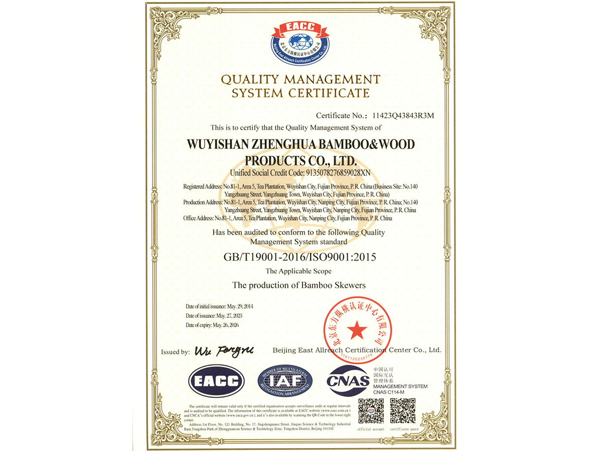 ISO 9001 En